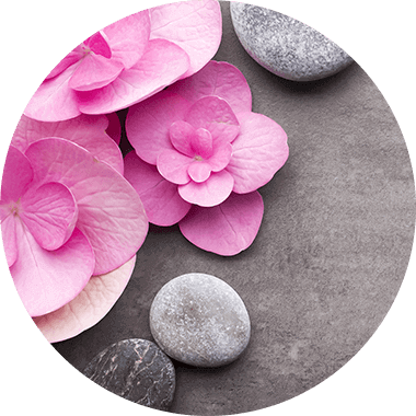 alpamare spa homepage